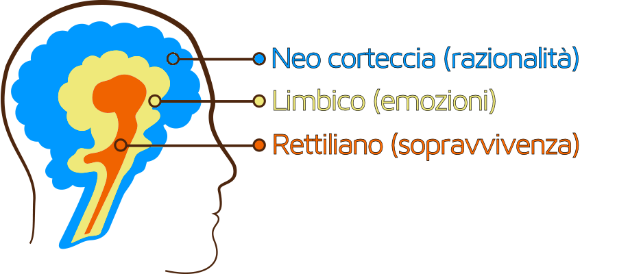 neuromarketing per influenzare la decisione di acquisto